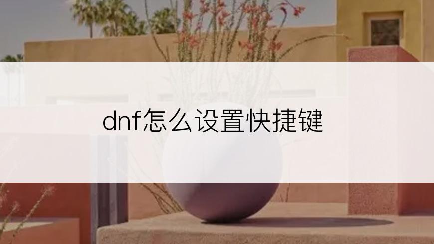 dnf怎么设置快捷键