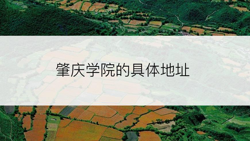 肇庆学院的具体地址