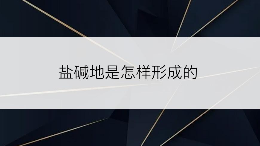 盐碱地是怎样形成的