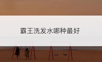 霸王洗发水哪种最好