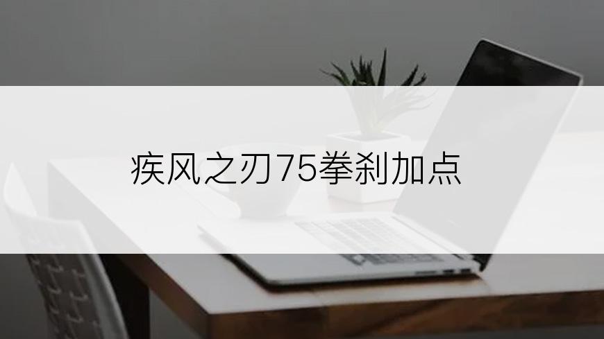 疾风之刃75拳刹加点