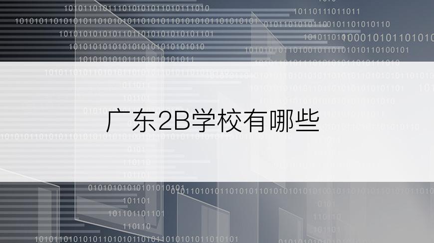 广东2B学校有哪些