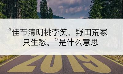 “佳节清明桃李笑，野田荒冢只生愁。”是什么意思