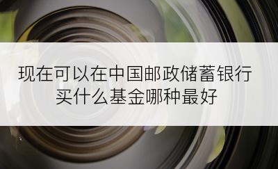 现在可以在中国邮政储蓄银行买什么基金哪种最好