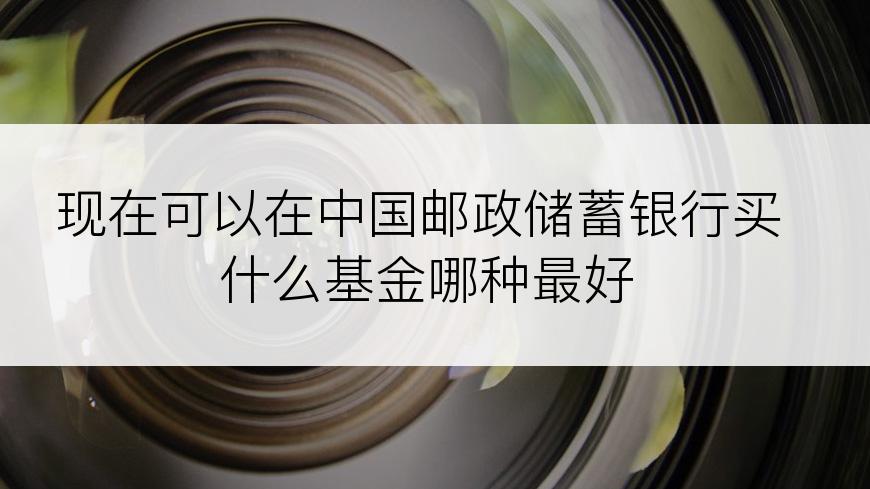 现在可以在中国邮政储蓄银行买什么基金哪种最好