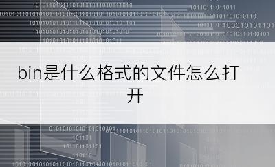 bin是什么格式的文件怎么打开