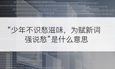 “少年不识愁滋味，为赋新词强说愁”是什么意思