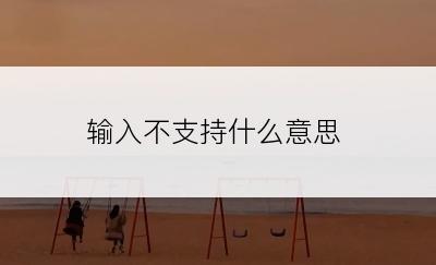 输入不支持什么意思