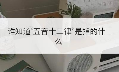 谁知道‘五音十二律’是指的什么