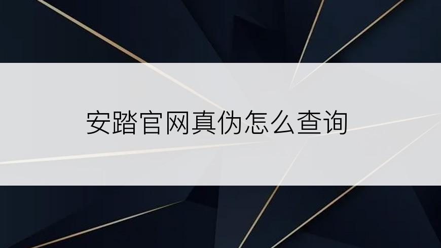 安踏官网真伪怎么查询