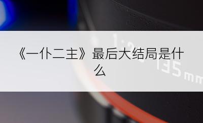 《一仆二主》最后大结局是什么