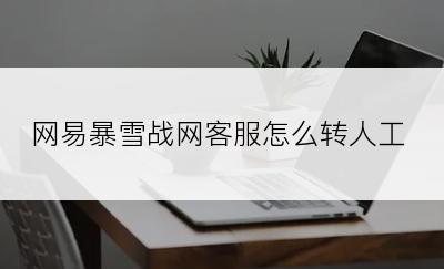 网易暴雪战网客服怎么转人工