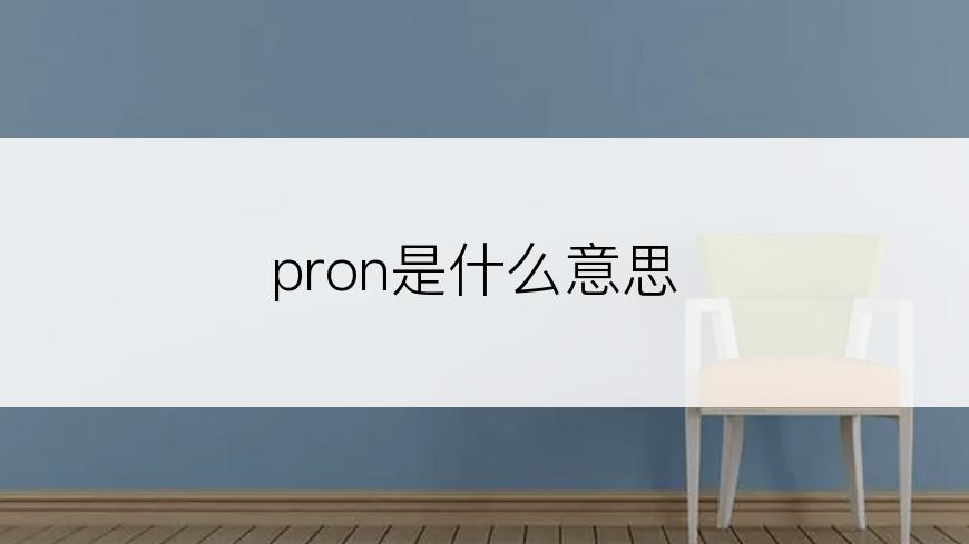 pron是什么意思