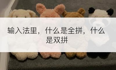 输入法里，什么是全拼，什么是双拼