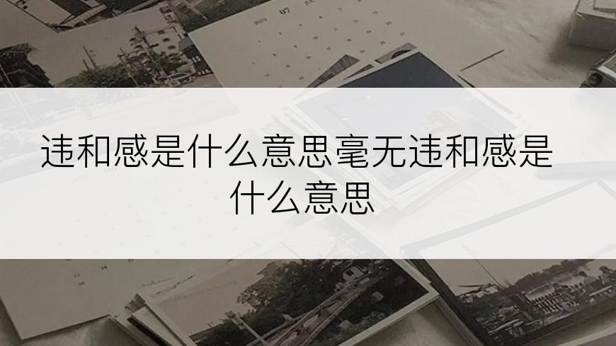 违和感是什么意思毫无违和感是什么意思