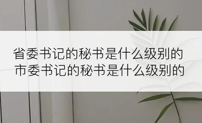 省委书记的秘书是什么级别的市委书记的秘书是什么级别的