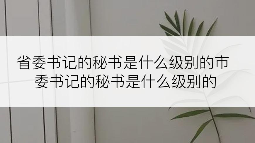 省委书记的秘书是什么级别的市委书记的秘书是什么级别的