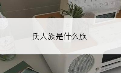 氐人族是什么族