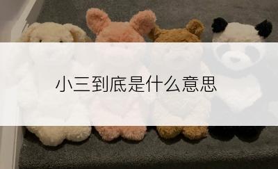 小三到底是什么意思