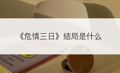 《危情三日》结局是什么