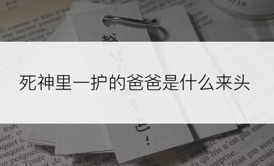 死神里一护的爸爸是什么来头