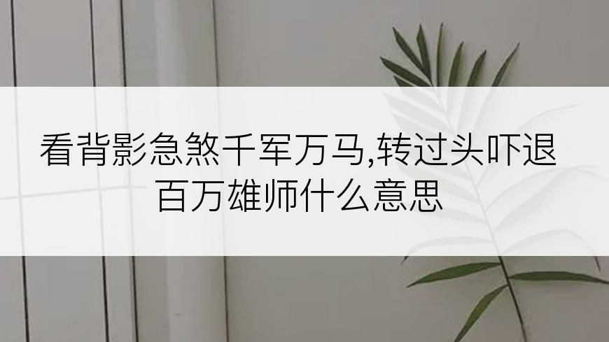 看背影急煞千军万马,转过头吓退百万雄师什么意思