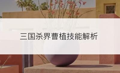 三国杀界曹植技能解析