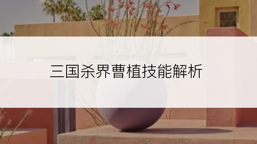 三国杀界曹植技能解析