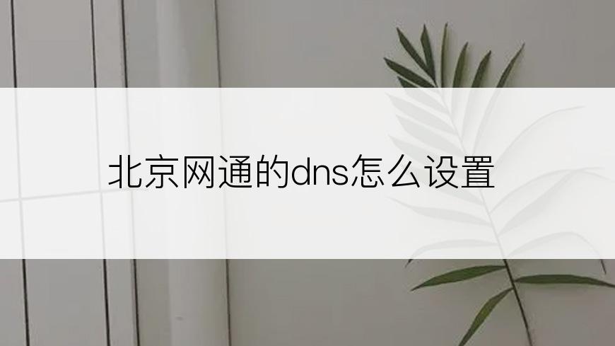 北京网通的dns怎么设置