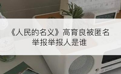 《人民的名义》高育良被匿名举报举报人是谁