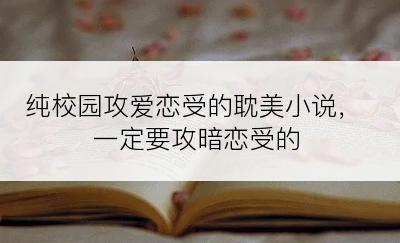 纯校园攻爱恋受的耽美小说，一定要攻暗恋受的