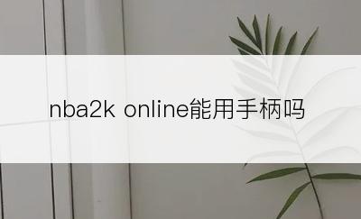 nba2k online能用手柄吗