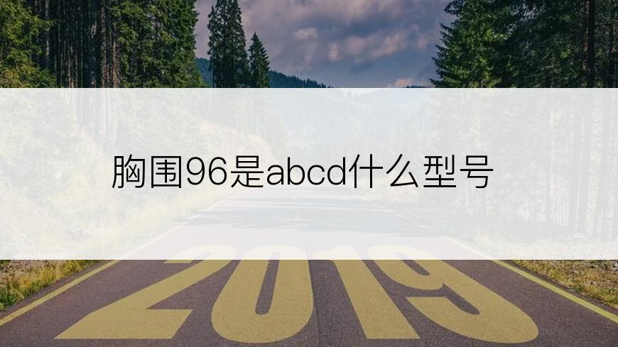 胸围96是abcd什么型号