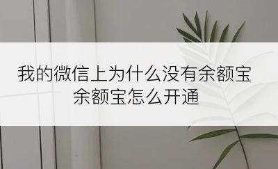 我的微信上为什么没有余额宝余额宝怎么开通