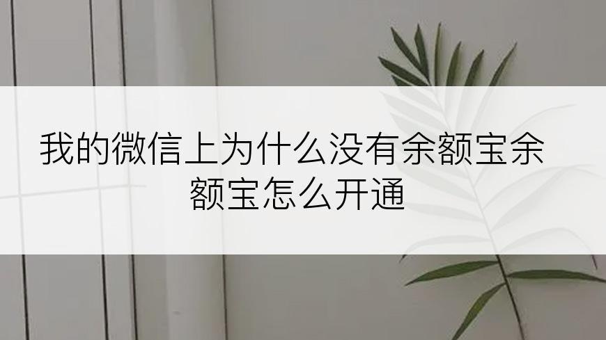 我的微信上为什么没有余额宝余额宝怎么开通