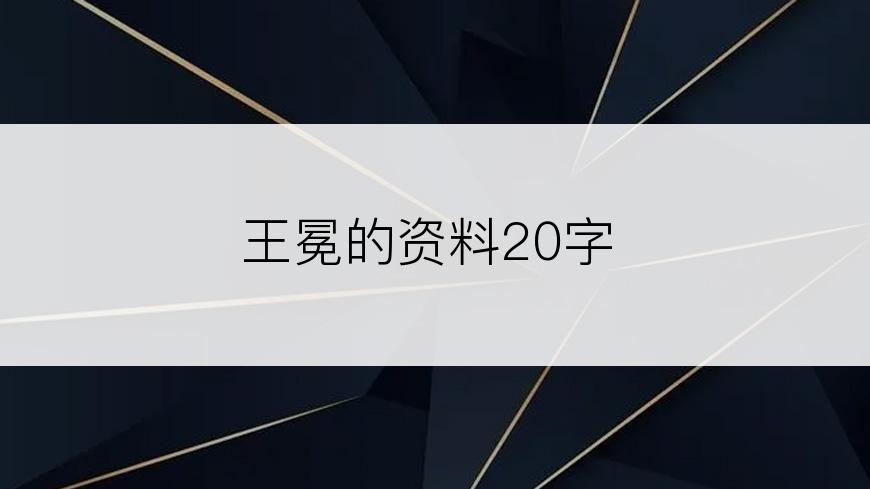 王冕的资料20字