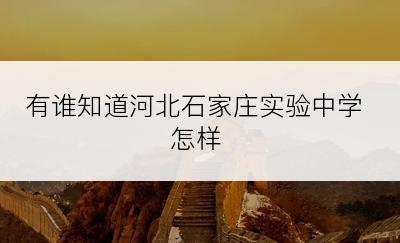 有谁知道河北石家庄实验中学怎样