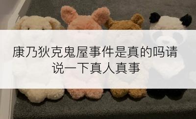 康乃狄克鬼屋事件是真的吗请说一下真人真事