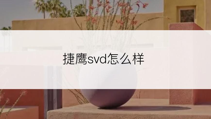 捷鹰svd怎么样