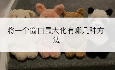 将一个窗口最大化有哪几种方法