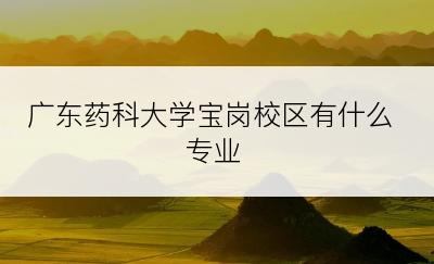 广东药科大学宝岗校区有什么专业