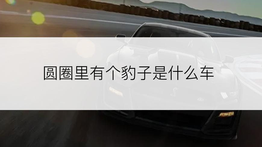 圆圈里有个豹子是什么车