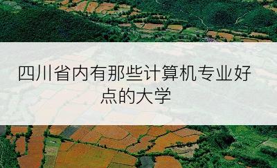 四川省内有那些计算机专业好点的大学