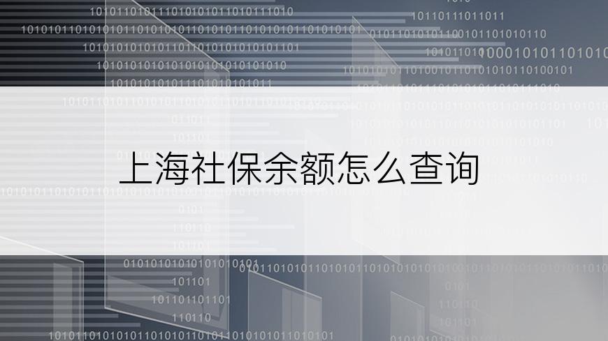 上海社保余额怎么查询