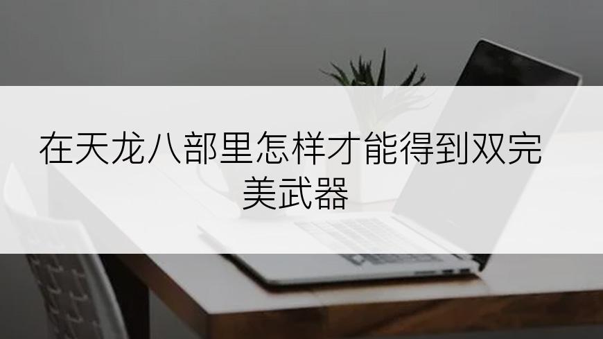 在天龙八部里怎样才能得到双完美武器