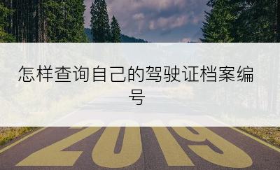 怎样查询自己的驾驶证档案编号