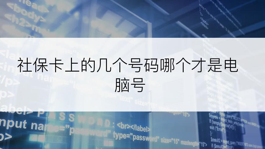 社保卡上的几个号码哪个才是电脑号