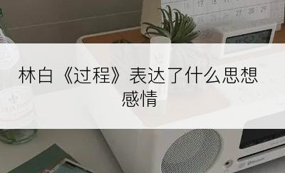 林白《过程》表达了什么思想感情