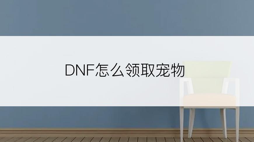 DNF怎么领取宠物