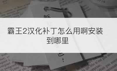 霸王2汉化补丁怎么用啊安装到哪里